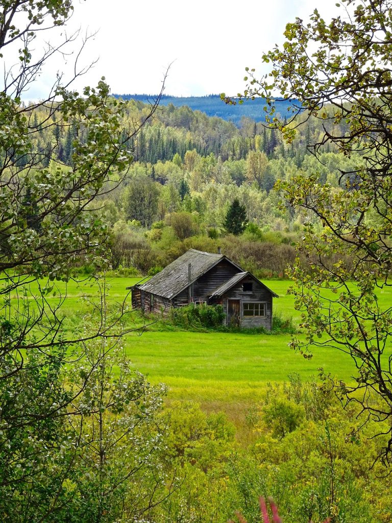 barn, house, ruin, building, exterior, ruined, barn, barn, barn, barn, barn, house, house, house, house, house